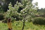 Les Jardins de l'Esprance  La Ciotat