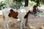 La Ferme d'Autrefois