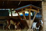 La Ferme d'Autrefois