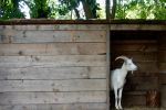 La Ferme d'Autrefois