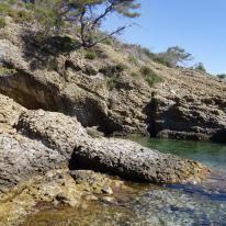 Calanque de Seynerolles