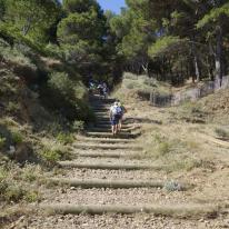 Chemin d'accès aux calanques de l'île verte