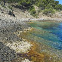 Couleurs de l'île verte