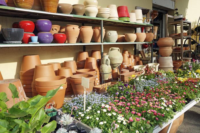 Pots de fleurs, La Ciotadenne