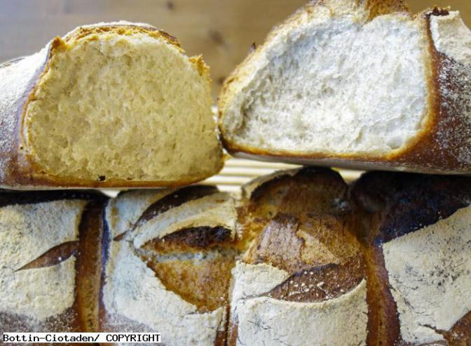 Ma Boulangerie des Halles La Ciotat