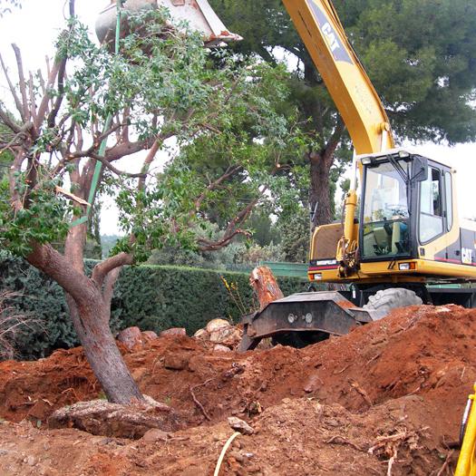 Cap Vert La Ciotat, entretien espaces vert