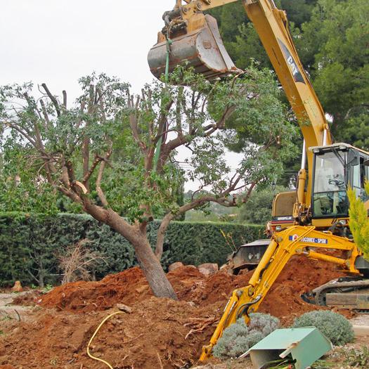 Cap Vert La Ciotat, entretien espaces vert