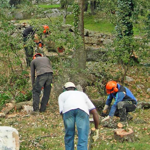 Cap Vert La Ciotat, entretien espaces vert
