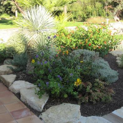 Cap Vert La Ciotat, entretien espaces vert